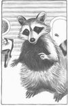 racoon illustration from The Stonking Steps